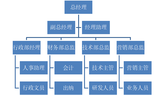 公司结构图